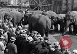 Standbild Circus New York City USA, 1931, aus Sekunde 59 historischem Filmmaterial Videoclip 65675041396