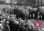 Standbild Circus New York City USA, 1931, aus Sekunde 60 historischem Filmmaterial Videoclip 65675041396