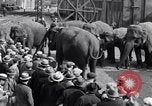 Standbild Circus New York City USA, 1931, aus Sekunde 61 historischem Filmmaterial Videoclip 65675041396