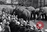 Standbild Circus New York City USA, 1931, aus Sekunde 62 historischem Filmmaterial Videoclip 65675041396
