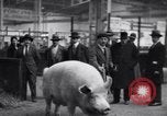 Standbild Präsident Doumergue Versailles Frankreich, 1931, aus Sekunde 35 historischem Filmmaterial Videoclip 65675041401