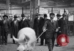 Standbild Präsident Doumergue Versailles Frankreich, 1931, aus Sekunde 36 historischem Filmmaterial Videoclip 65675041401