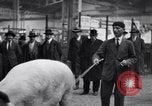 Standbild Präsident Doumergue Versailles Frankreich, 1931, aus Sekunde 37 historischem Filmmaterial Videoclip 65675041401
