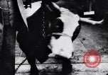 Standbild Präsident Doumergue Versailles Frankreich, 1931, aus Sekunde 47 historischem Filmmaterial Videoclip 65675041401