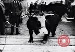 Standbild Präsident Doumergue Versailles Frankreich, 1931, aus Sekunde 48 historischem Filmmaterial Videoclip 65675041401