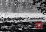 Image éleveurs Cascade Mountains Washington USA, 1933, de la seconde 20 séquences d'archives historiques vidéo 65675041408