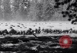 Image éleveurs Cascade Mountains Washington USA, 1933, de la seconde 22 séquences d'archives historiques vidéo 65675041408
