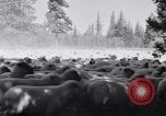 Image éleveurs Cascade Mountains Washington USA, 1933, de la seconde 24 séquences d'archives historiques vidéo 65675041408
