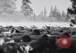 Image éleveurs Cascade Mountains Washington USA, 1933, de la seconde 25 séquences d'archives historiques vidéo 65675041408