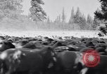 Image éleveurs Cascade Mountains Washington USA, 1933, de la seconde 26 séquences d'archives historiques vidéo 65675041408
