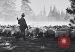 Image éleveurs Cascade Mountains Washington USA, 1933, de la seconde 27 séquences d'archives historiques vidéo 65675041408