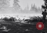 Image éleveurs Cascade Mountains Washington USA, 1933, de la seconde 32 séquences d'archives historiques vidéo 65675041408