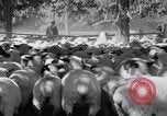 Image éleveurs Cascade Mountains Washington USA, 1933, de la seconde 35 séquences d'archives historiques vidéo 65675041408