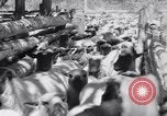 Image éleveurs Cascade Mountains Washington USA, 1933, de la seconde 37 séquences d'archives historiques vidéo 65675041408