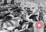 Image éleveurs Cascade Mountains Washington USA, 1933, de la seconde 38 séquences d'archives historiques vidéo 65675041408