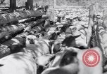 Image éleveurs Cascade Mountains Washington USA, 1933, de la seconde 39 séquences d'archives historiques vidéo 65675041408