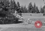 Image éleveurs Cascade Mountains Washington USA, 1933, de la seconde 43 séquences d'archives historiques vidéo 65675041408