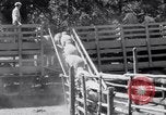 Image éleveurs Cascade Mountains Washington USA, 1933, de la seconde 47 séquences d'archives historiques vidéo 65675041408