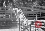 Image éleveurs Cascade Mountains Washington USA, 1933, de la seconde 49 séquences d'archives historiques vidéo 65675041408