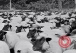 Image éleveurs Cascade Mountains Washington USA, 1933, de la seconde 55 séquences d'archives historiques vidéo 65675041408