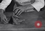 Image of Italian Chefs Rome Italy, 1937, second 23 stock footage video 65675041415