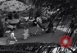 Immagine di Creazioni di moda Miami Florida USA, 1937, secondo 27 filmato di repertorio 65675041419