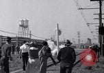 Standbild Cannery Arbeitnehmer Stockton California USA, 1937, aus Sekunde 39 historischem Filmmaterial Videoclip 65675041426