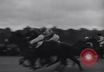 Immagine di Corsa di cavalli Longchamps Francia, 1938, secondo 36 filmato di repertorio 65675041436