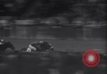 Immagine di Corsa di cavalli Longchamps Francia, 1938, secondo 59 filmato di repertorio 65675041436