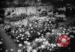 Image of International Flower Show New York City USA, 1961, second 16 stock footage video 65675041459