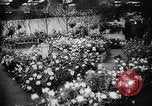 Image of International Flower Show New York City USA, 1961, second 17 stock footage video 65675041459