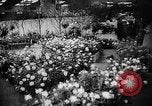 Image of International Flower Show New York City USA, 1961, second 18 stock footage video 65675041459