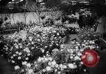 Image of International Flower Show New York City USA, 1961, second 19 stock footage video 65675041459