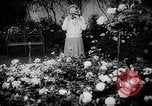 Image of International Flower Show New York City USA, 1961, second 20 stock footage video 65675041459