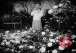 Image of International Flower Show New York City USA, 1961, second 21 stock footage video 65675041459