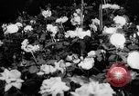 Image of International Flower Show New York City USA, 1961, second 23 stock footage video 65675041459