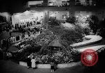 Image of International Flower Show New York City USA, 1961, second 26 stock footage video 65675041459