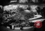 Image of International Flower Show New York City USA, 1961, second 27 stock footage video 65675041459