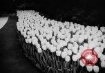 Image of International Flower Show New York City USA, 1961, second 29 stock footage video 65675041459