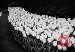 Image of International Flower Show New York City USA, 1961, second 30 stock footage video 65675041459