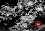 Image of International Flower Show New York City USA, 1961, second 32 stock footage video 65675041459