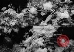 Image of International Flower Show New York City USA, 1961, second 33 stock footage video 65675041459