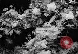 Image of International Flower Show New York City USA, 1961, second 34 stock footage video 65675041459