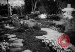 Image of International Flower Show New York City USA, 1961, second 37 stock footage video 65675041459