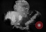 Image of International Flower Show New York City USA, 1961, second 43 stock footage video 65675041459