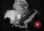 Image of International Flower Show New York City USA, 1961, second 45 stock footage video 65675041459