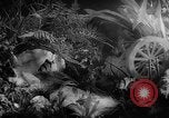 Image of International Flower Show New York City USA, 1961, second 47 stock footage video 65675041459