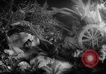 Image of International Flower Show New York City USA, 1961, second 48 stock footage video 65675041459