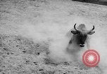 Standbild Charros Mexiko, 1961, aus Sekunde 54 historischem Filmmaterial Videoclip 65675041462