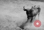 Standbild Charros Mexiko, 1961, aus Sekunde 56 historischem Filmmaterial Videoclip 65675041462